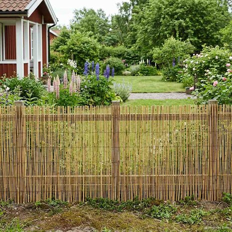 Tuinhek Ge&euml; carboniseerd 400 x 100 cm Riet 1