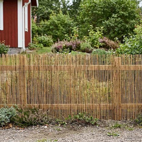 Tuinhek Ge&euml; carboniseerd 600 x 100 cm Riet 3