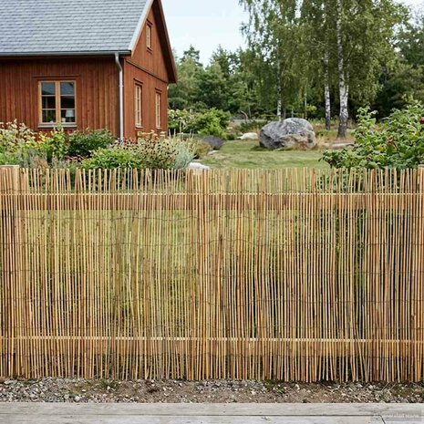 Tuinhek Ge&euml; carboniseerd 400 x 80 cm Riet 3