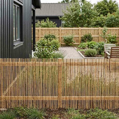 Tuinhek Ge&euml; carboniseerd 500 x 80 cm Riet 3