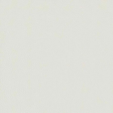 Vloerstoel Wit 55 x 61 x 70 cm Nep Leer 10