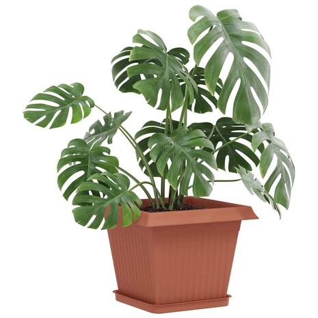 Plantenpotten 6 pcs Baksteenrood 28,5 x 28,5 x 22 cm Kunststof 3