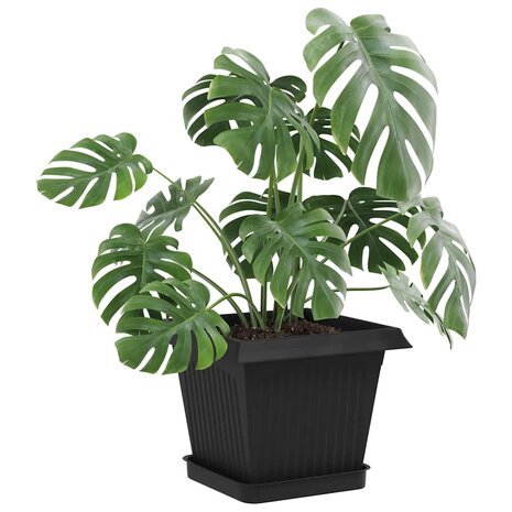 Plantenpotten 24 pcs Zwart 16 x 16 x 14 cm Kunststof 3