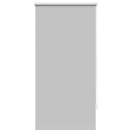 Rolgordijn verduisterend 60x120 cm stofbreedte 60 cm grijs 2