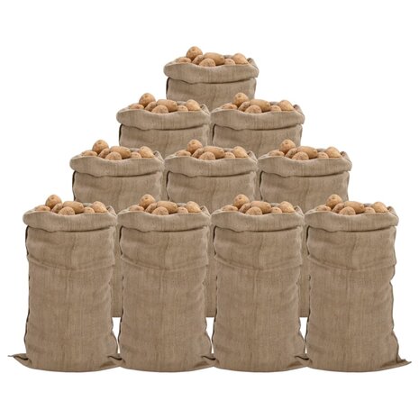 Jutezakken 10 stuks 65x135 cm 100% jute 340 g/m&sup2; 1