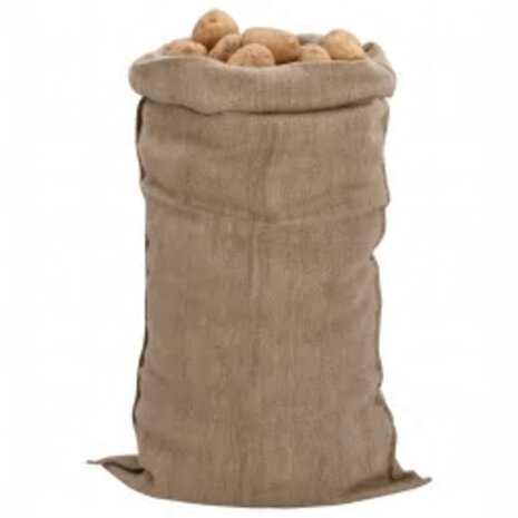 Jutezakken 30 stuks 340 g/m&sup2; 65x135 cm 100% jute 2