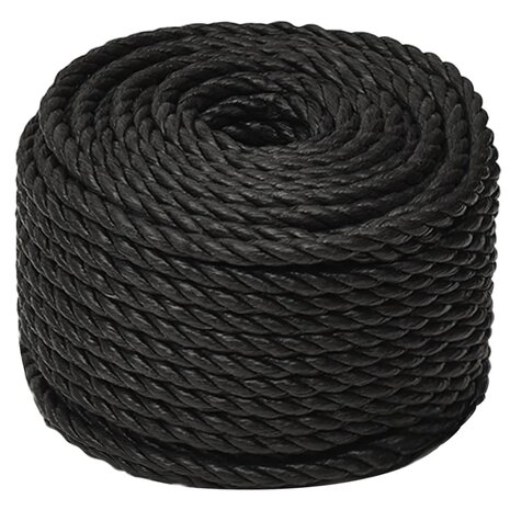 Werktouw 10 mm 100 m polypropeen zwart 2
