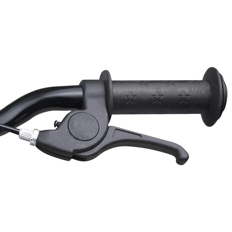 Kinderfiets 12 Inch voor 2-4 jaar oud Zwart 6