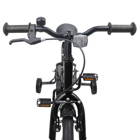 Kinderfiets 12 Inch voor 2-4 jaar oud Zwart 5