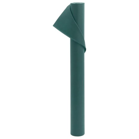 Vliesdoek voor planten 2 rollen 70 g/m&sup2; 10x1,6 m 2