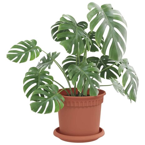 Plantenpotten 6 pcs Baksteenrood &Oslash; 15 x 12 cm Kunststof 3