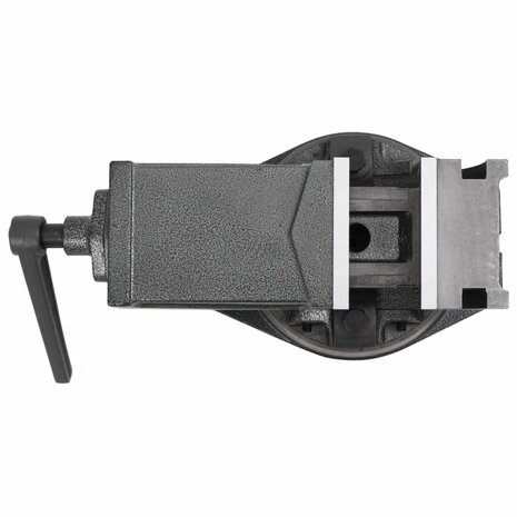 Bankschroef met 2 assen kantelbaar 100 mm 6