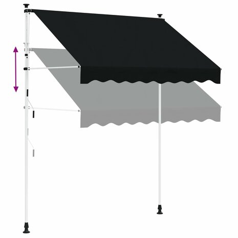 Handmatig uitschuifbare luifel Zwart 300 cm 6