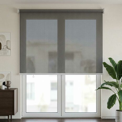 Buitenrolgordijn 90% UV-blok Lichtgrijs 80x230 cm HDPE 3