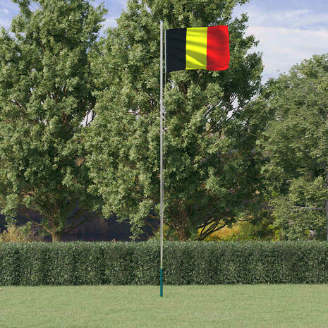 Vlag met vlaggenmast Belgi&euml; 6,08 m aluminium 1