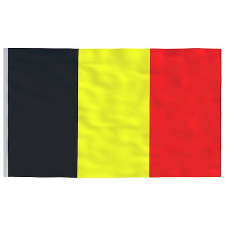 Vlag met vlaggenmast Belgi&euml; 6,08 m aluminium 4