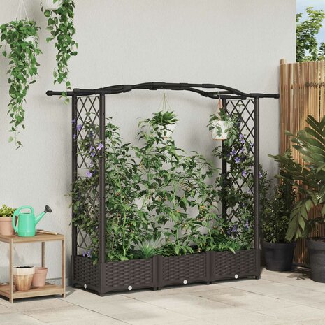 Verhoogde tuinbak met Trellis en Dak Bruin 169 x 40 x 123 cm PP 1