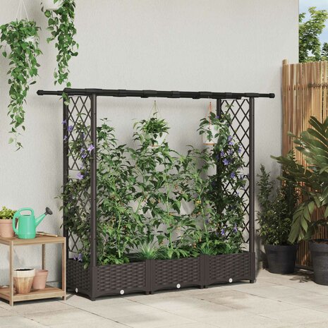 Verhoogde tuinbak met Trellis en Dak Bruin 164 x 40 x 121 cm PP 1