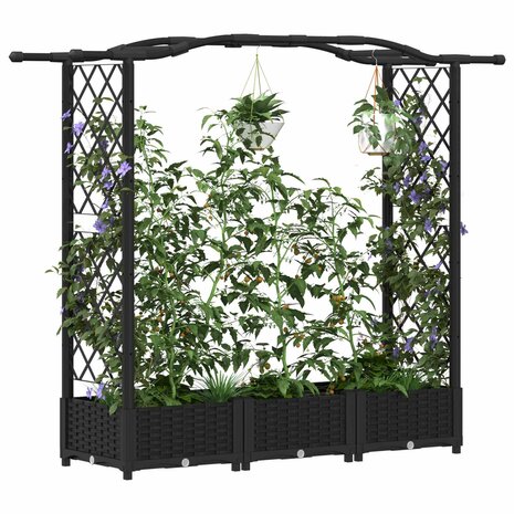 Verhoogde tuinbak met Trellis en Dak Zwart 169 x 40 x 123 cm PP 3