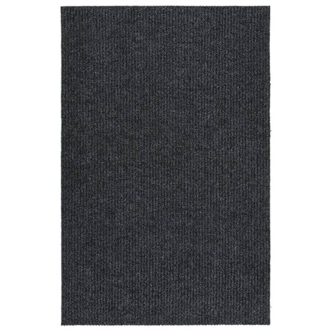 Droogloopmat 100x150 cm antracietkleurig 1