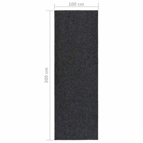 Droogloopmat 100x300 cm antracietkleurig 6