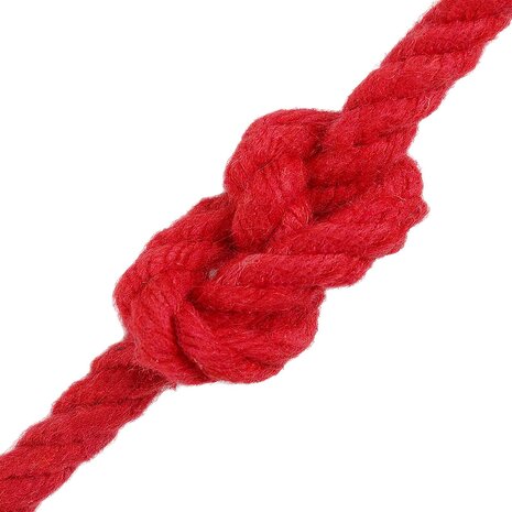 Touw Rood 0,8 x 0,8 x 2500 cm Katoen 3