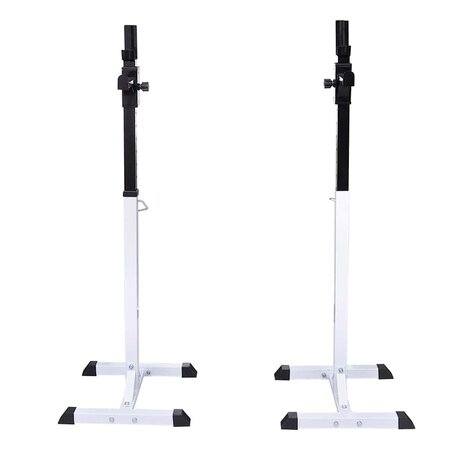 Halter- en gewichtenstandaard 2