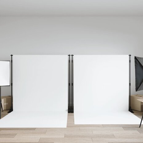 Achtergrondstandaards 2 st 254x243 cm staal zwart 1