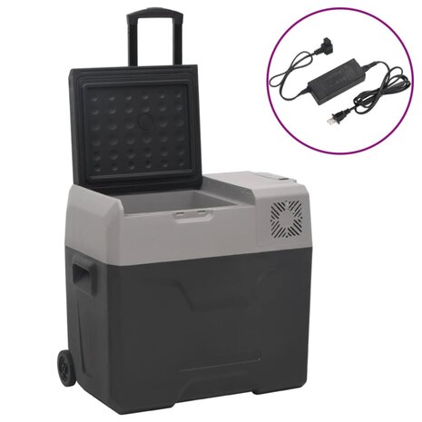 Koelbox met wielen en adapter 30 L polypropeen zwart en grijs 1