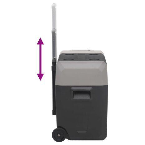 Koelbox met wielen en adapter 30 L polypropeen zwart en grijs 8