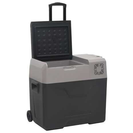 Koelbox met wielen en adapter 40 L polypropeen zwart en grijs 3