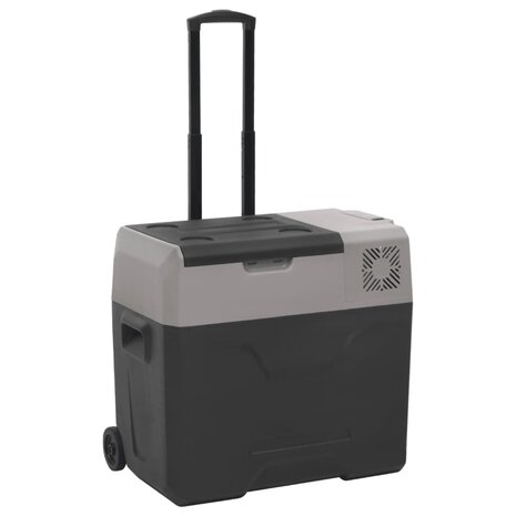 Koelbox met wielen en adapter 40 L polypropeen zwart en grijs 4