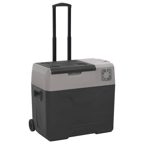Koelbox met wielen en handvat 40 L polypropeen zwart en grijs 1