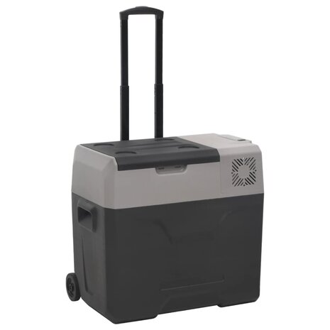 Koelbox met wielen en handvat 50 L polypropeen zwart en grijs 1