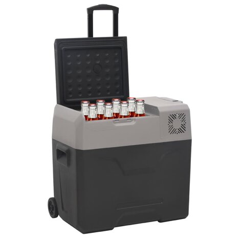 Koelbox met wielen en handvat 50 L polypropeen zwart en grijs 2