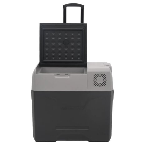Koelbox met wielen en handvat 50 L polypropeen zwart en grijs 6