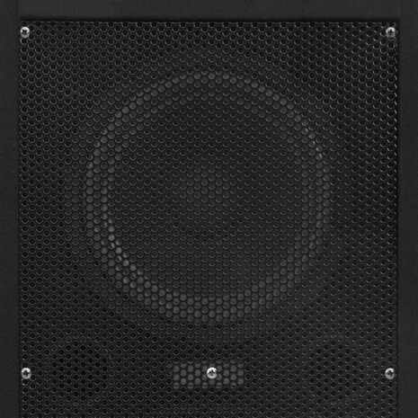 Hifi-podiumluidsprekers 2 st passief professioneel 1000 W zwart 6