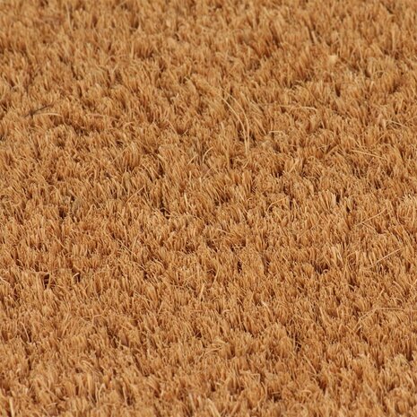Deurmat 40x60 cm getufte kokosvezel naturel 2