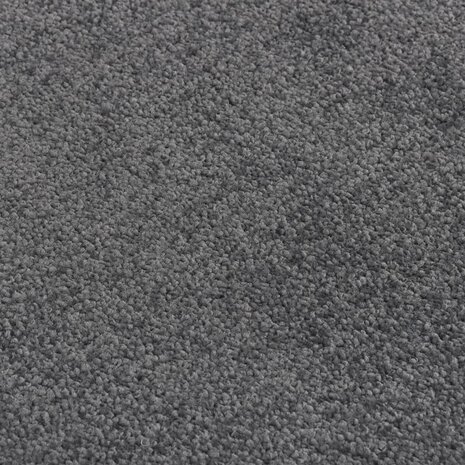 Deurmat 60x80 cm antracietkleurig 5