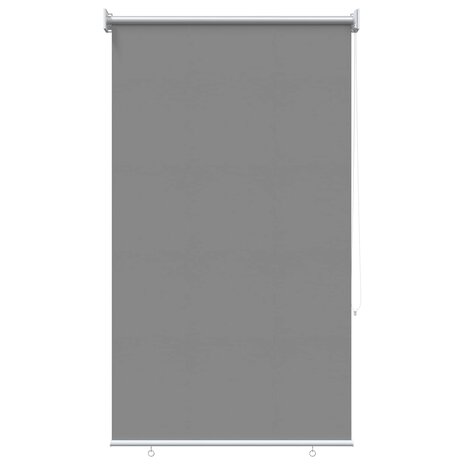 Buitenrolgordijn UV-bescherming Lichtgrijs 60x140 cm (B x H) 2