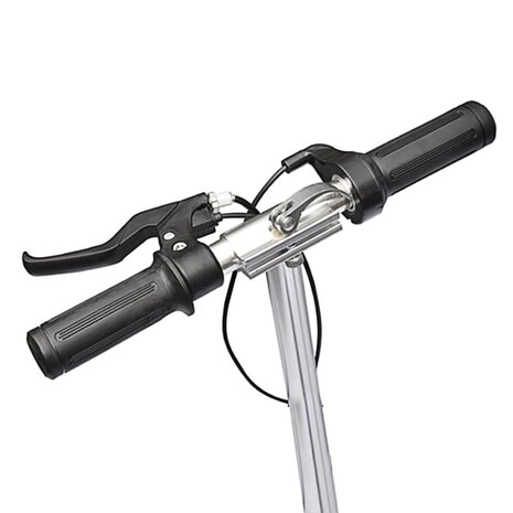 Step elektrisch 120 W zwart 2