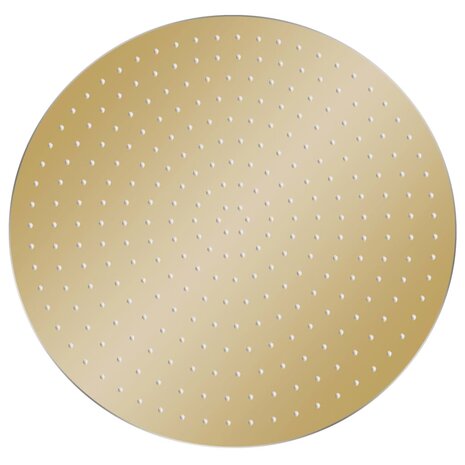 Regendouchekop rond 40 cm roestvrij staal goudkleurig 2