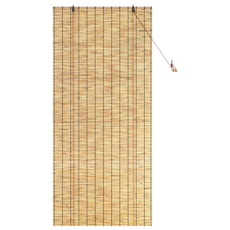 Rolgordijn Naturel 100x220 cm Riet 3