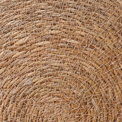 Zeegroene placemats 50 st Naturel 100% Zeegras 4
