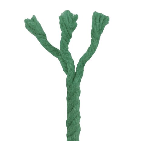 Touw Groen 0,6 x 0,6 x 5000 cm Katoen 4