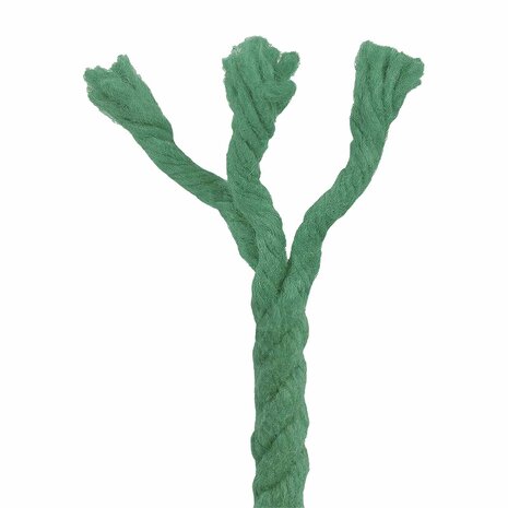 Touw Groen 0,8 x 0,8 x 2500 cm Katoen 4