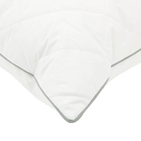 Hoofdkussen FULDA 2 st 30 x 50 cm 100% Ganzendons en Veer Wit 5