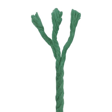 Katoen Touw 2 st 2 mm 100 m Groen 100% Katoen 4