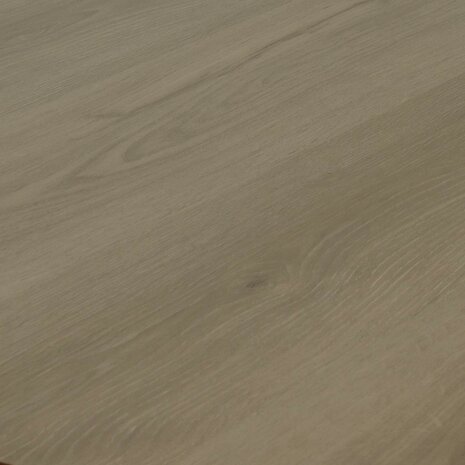 Laminaatvloer Lichtblauw 101 x 20 x 0,8 cm 15 st Bewerkt hout 5