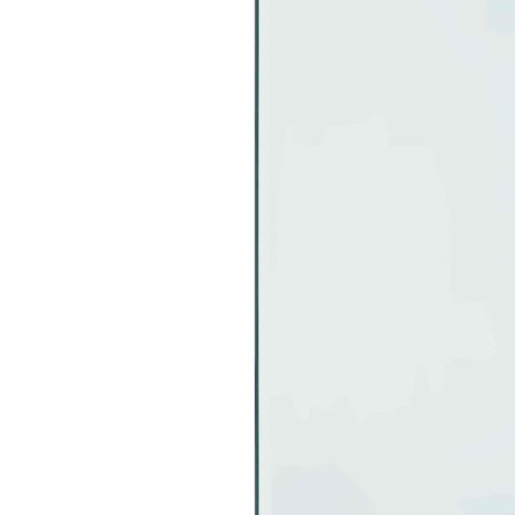 Vuurplaats Glazen Plaat Transparant 80 x 60 cm Glas 6